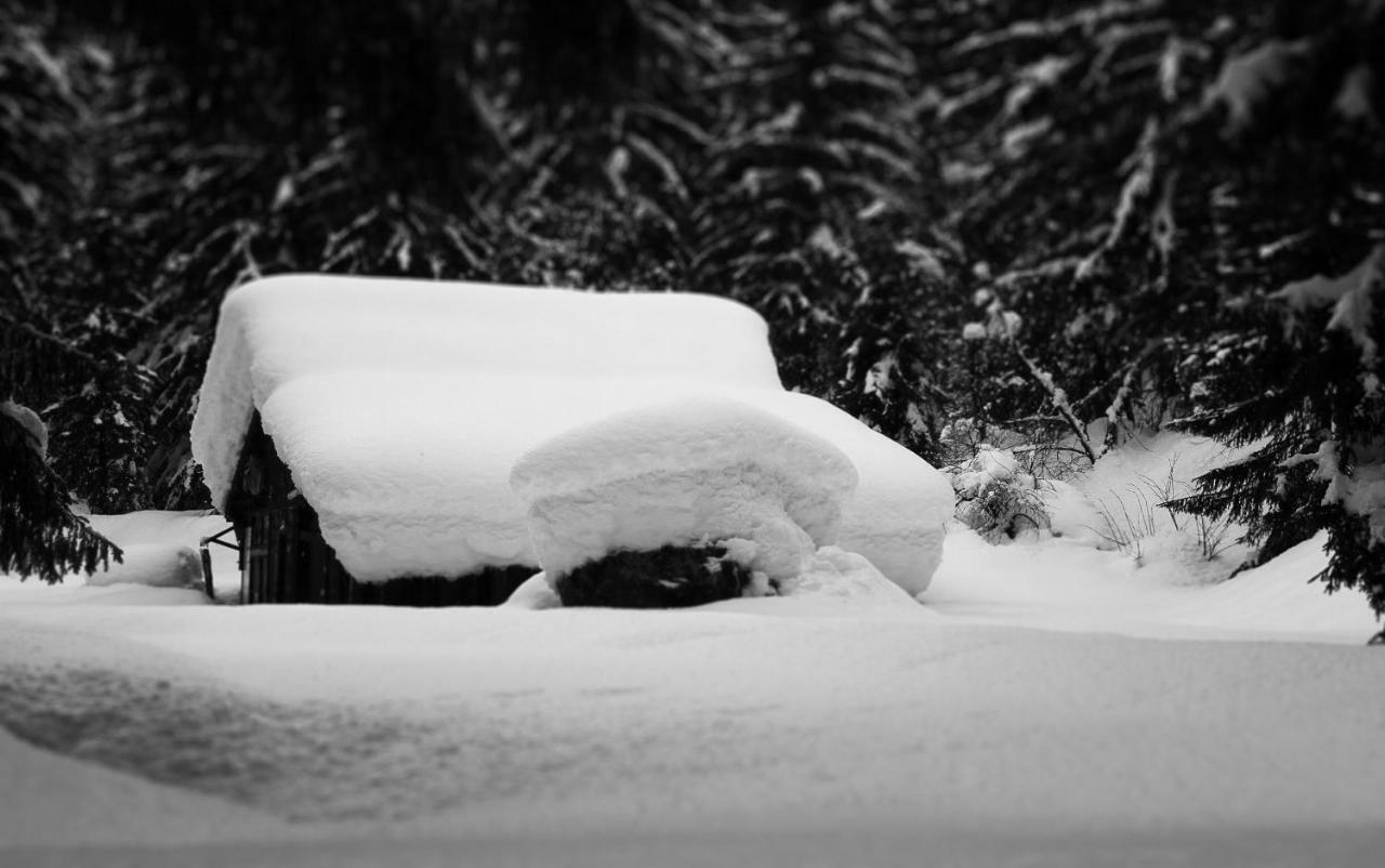 Apartment Maya, La Praz, Chamonix Mont Blanc Luaran gambar